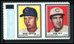 Ron Santo / Joe Jay 