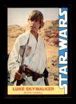 #1 Luke Skywalker  