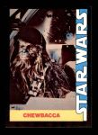 #9 Chewbaca  