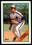#25 Andres Galarraga 