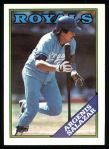 #29 Angel Salazar 