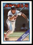 #43 Dick Schofield 