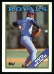 #301 Bud Black 