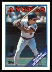 #331 Brian Downing 