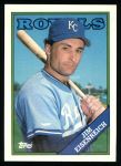 #348 Jim Eisenreich 