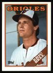 #383 Eric Bell 