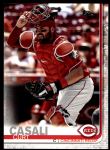 #3 Curt Casali 