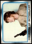 #213 Courage of Skywalker  