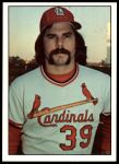 #291 Al Hrabosky 