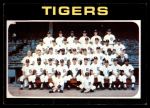 #336 Tigers Team  