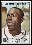 #258 Lee Maye 