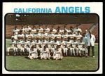 #243 Angels Team  