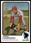 #166 Terry Harmon 