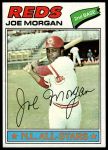 #100 Joe Morgan 