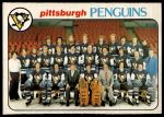 #204 Penguins Team  