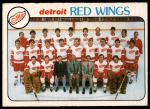 #197 Red Wings Team  
