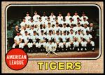 #528 Tigers Team  