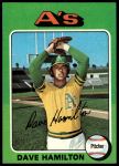 #428 Dave Hamilton 