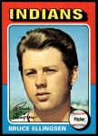 #288 Bruce Ellingsen 