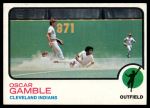 #372 Oscar Gamble 
