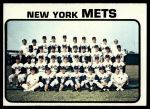 #389 Mets Team  