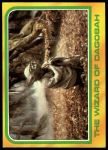 #308 The Wizard of Dagobah  