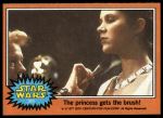 #325 The princess  