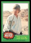 #239 The young star warrior  