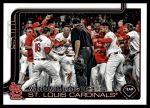 #461 St. Louis Cardinals Team 