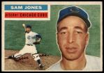#259 Sam Jones 