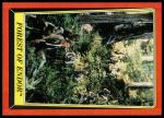#68 Forest of Endor  