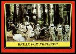 #108 Break for Freedom!  