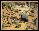 #35 Jungle Expedition  