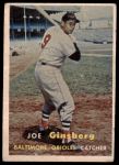 #236 Joe Ginsberg 