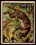 #66 Jungle Trick  