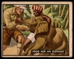 #65 Food For An Elephant  