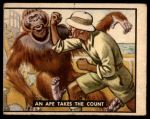 #95 An Ape Takes The Count  
