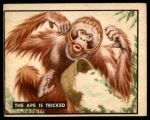 #57 The Ape Is Tricked  