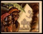 #44 Jungle Night  