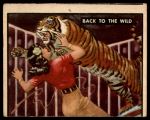 #86 Back To The Wild  
