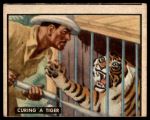 #81 Curing Tiger  