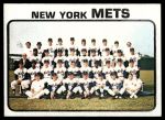 #389 Mets Team  
