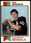 1973 Topps #34 Ken Anderson<br />ST01 06 8523<br /><a class='button AddToCart' data-ajax='true' data-ajax-mode='replace' data-ajax-update='#cart-info' href='/AddToCart?itemId=7073239&quantity=1&type=0'>Add To Cart</a>