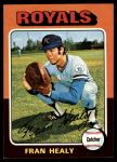 #251 Fran Healy 
