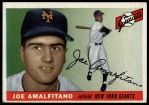 #144 Joe Amalfitano 