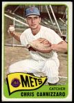 #61 Chris Cannizzaro 