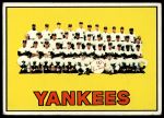 #131 Yankees Team  