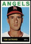 #521 Tom Satriano 