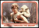 #60 Journey Through the Swamp  