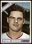 #263 Tom Egan 